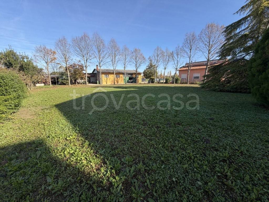 immagine annuncio 1 di 14