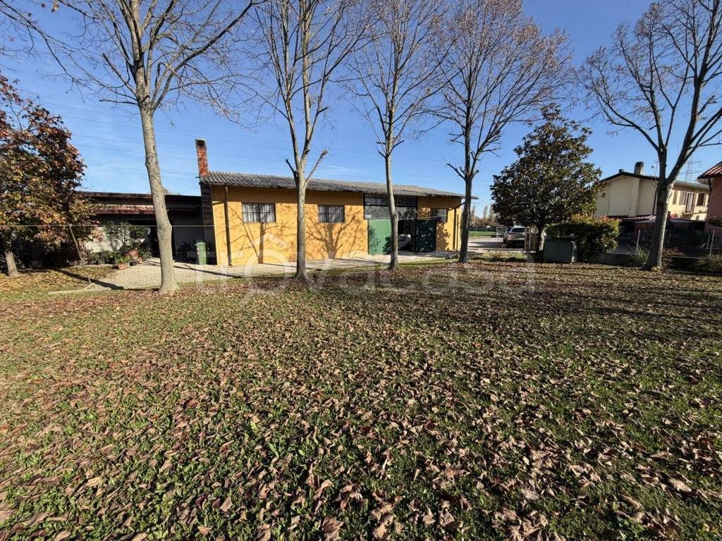 immagine annuncio 2 di 14