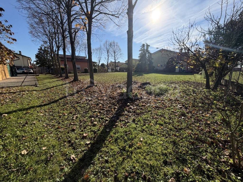 immagine annuncio 5 di 14