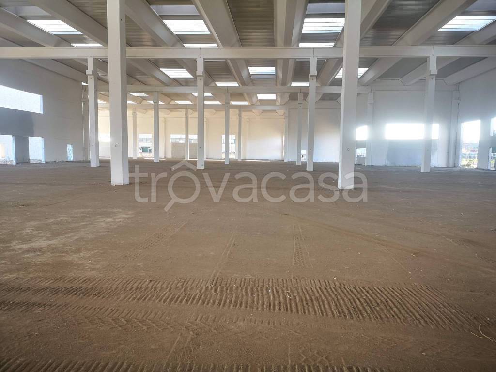 immagine annuncio 6 di 13