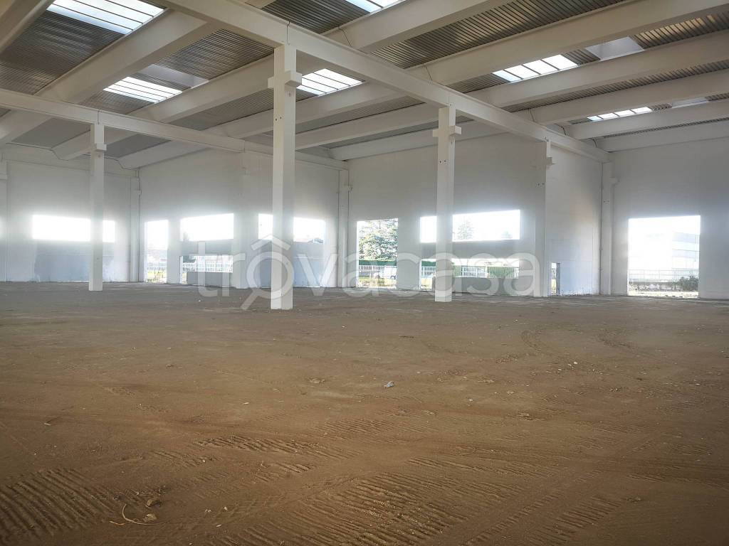 immagine annuncio 8 di 13