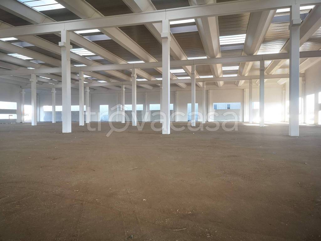 immagine annuncio 9 di 13