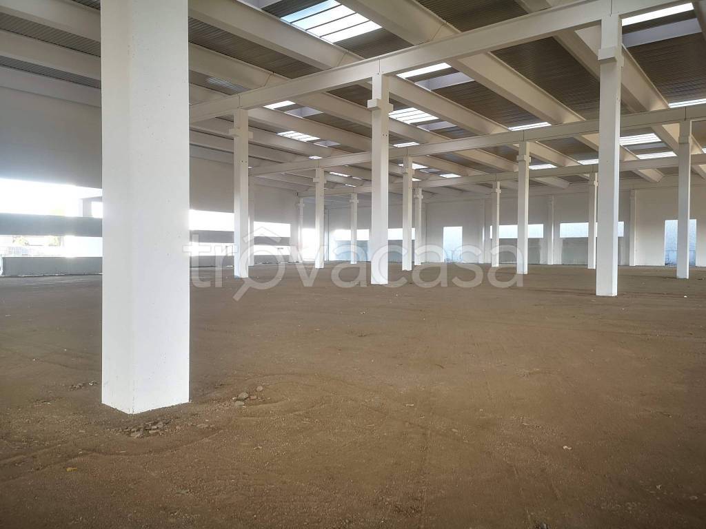 immagine annuncio 10 di 13