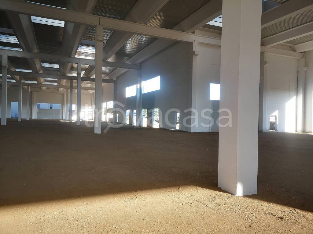 immagine annuncio 11 di 13