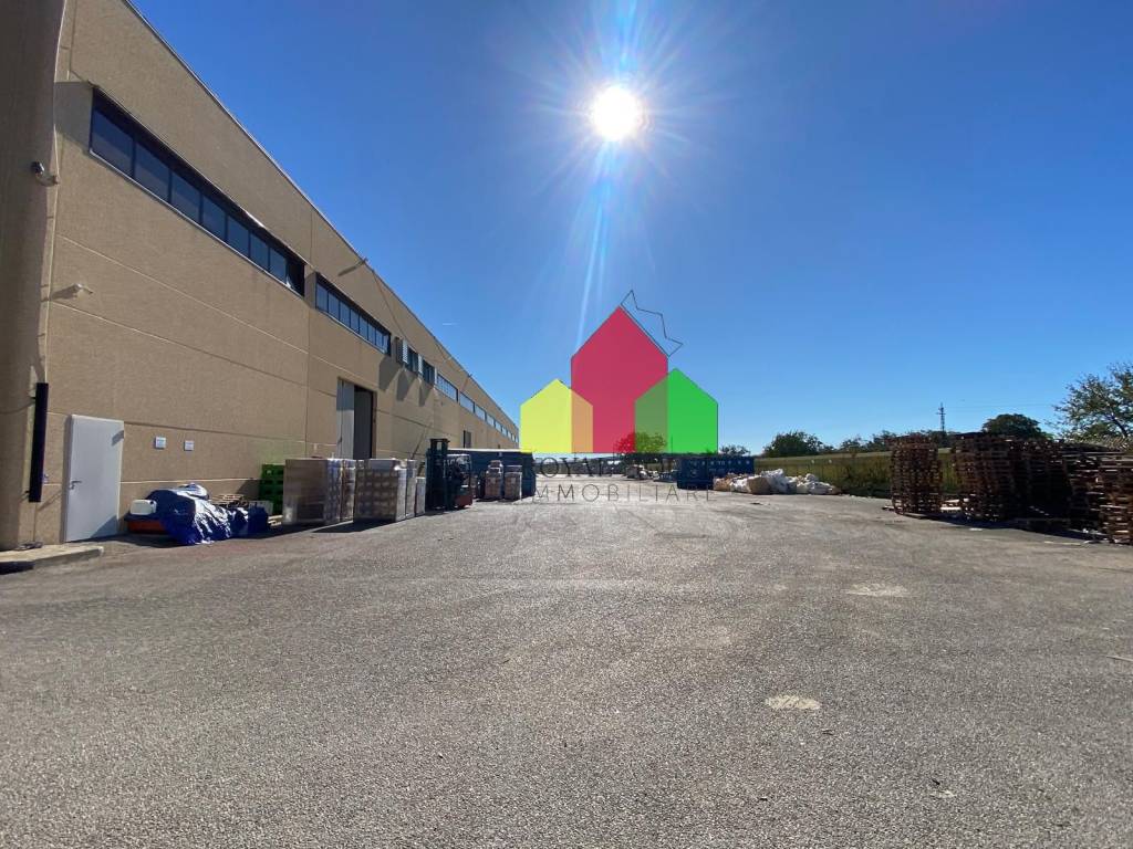 immagine annuncio 2 di 15