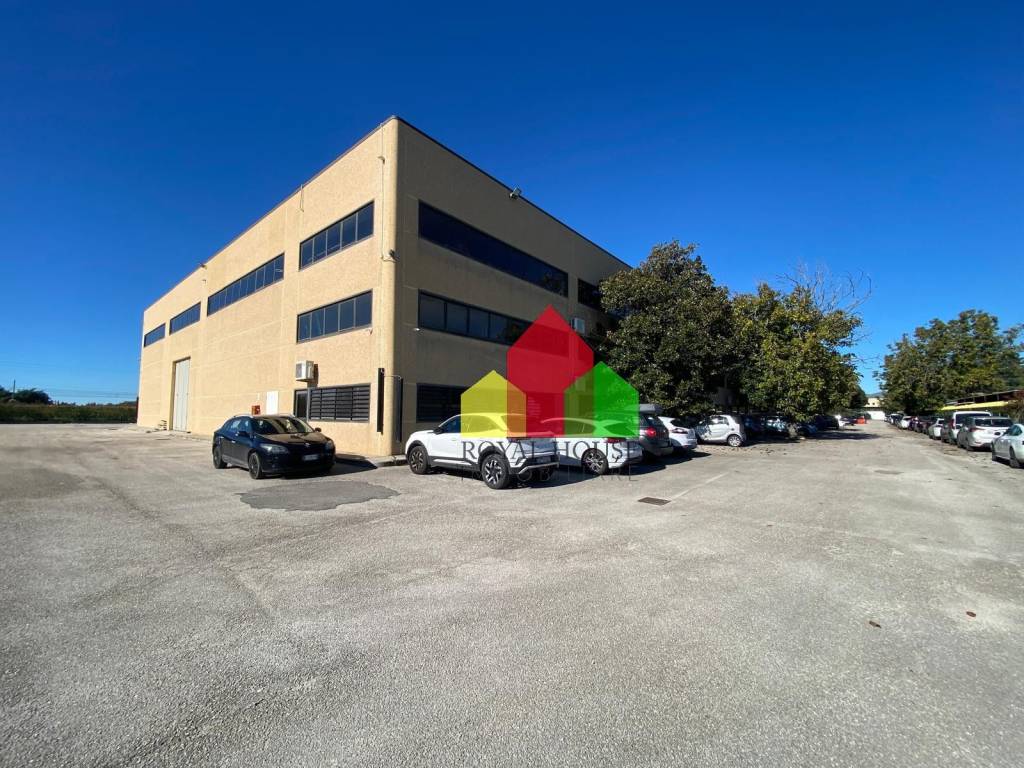 immagine annuncio 13 di 15