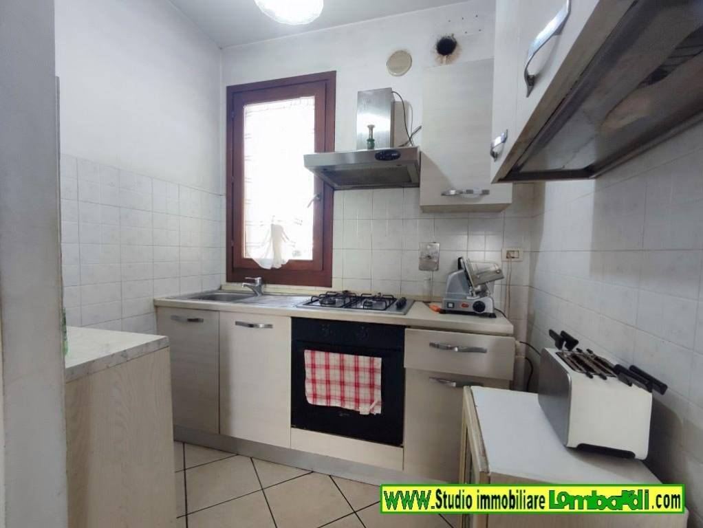 immagine annuncio 9 di 15