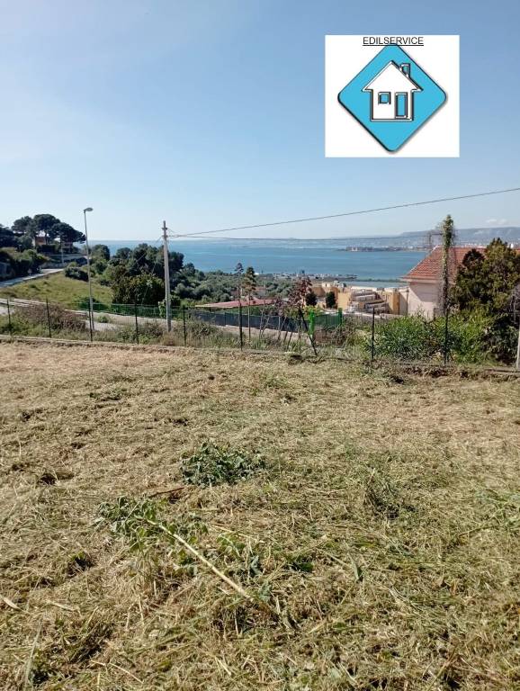 immagine annuncio 2 di 6