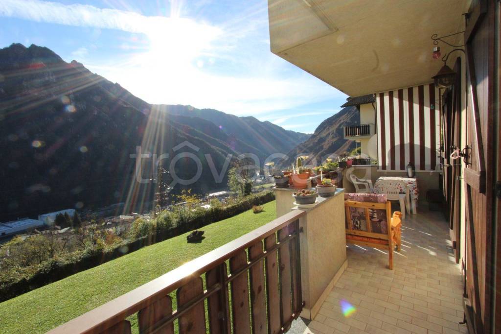 immagine annuncio 12 di 15