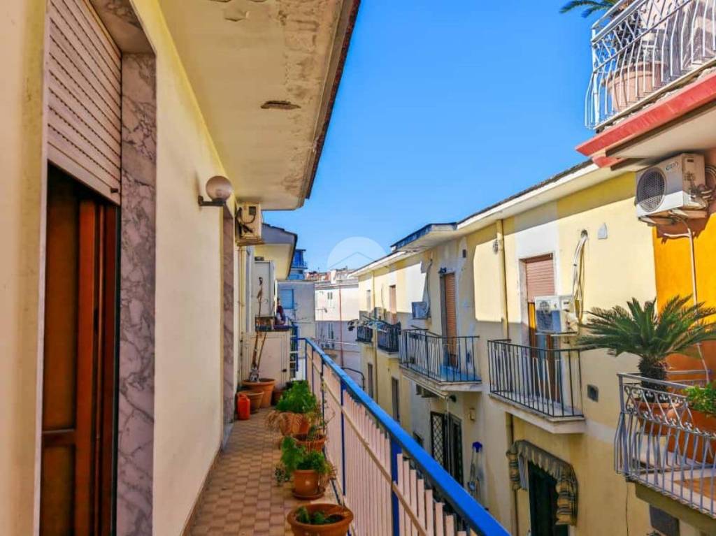 immagine annuncio 4 di 14