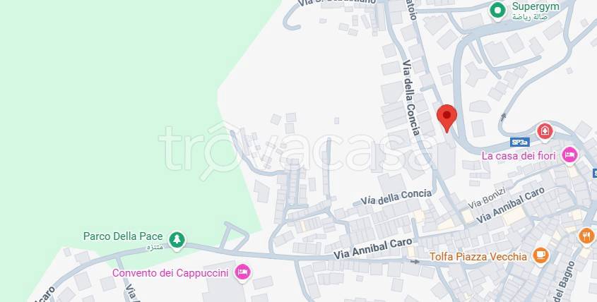 immagine annuncio 1 di 11