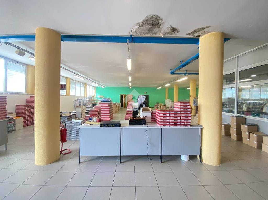 immagine annuncio 5 di 13