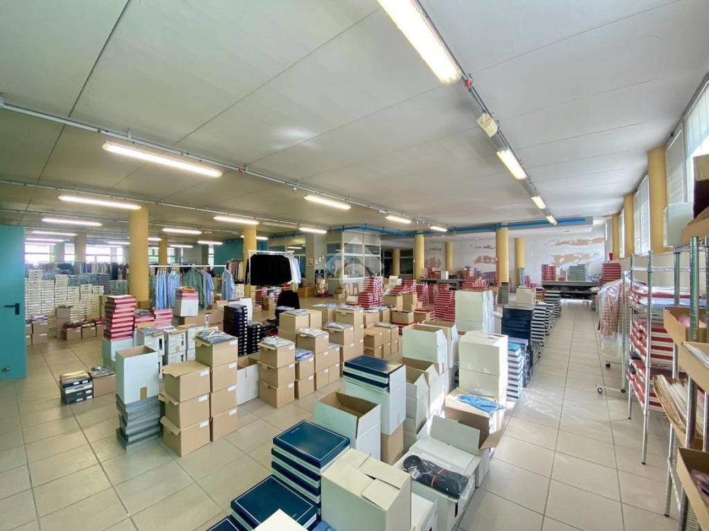 immagine annuncio 6 di 13