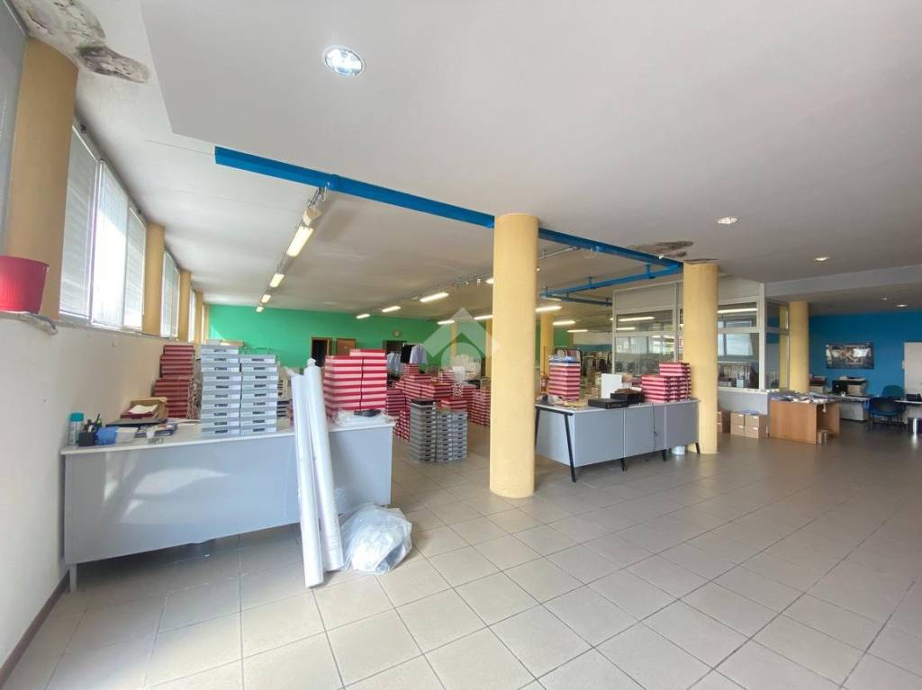 immagine annuncio 10 di 13