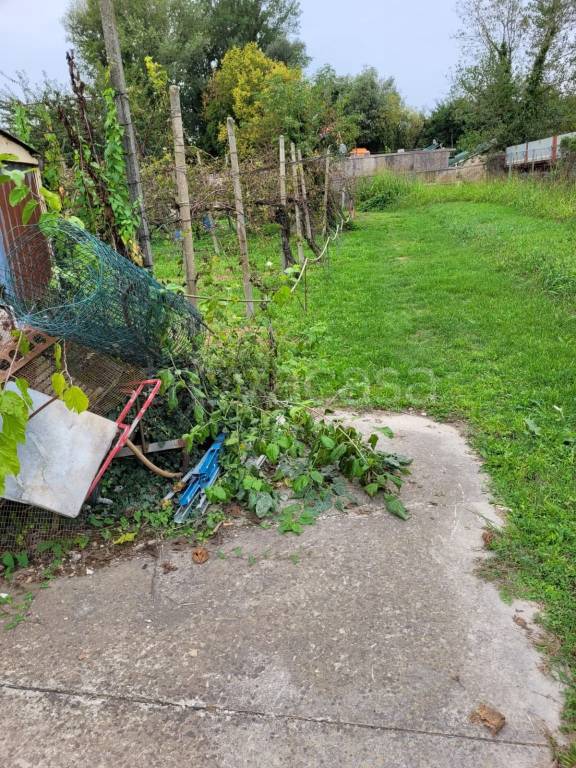 immagine annuncio 2 di 4