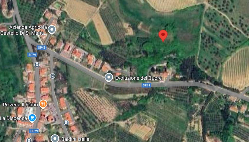 immagine annuncio 8 di 13