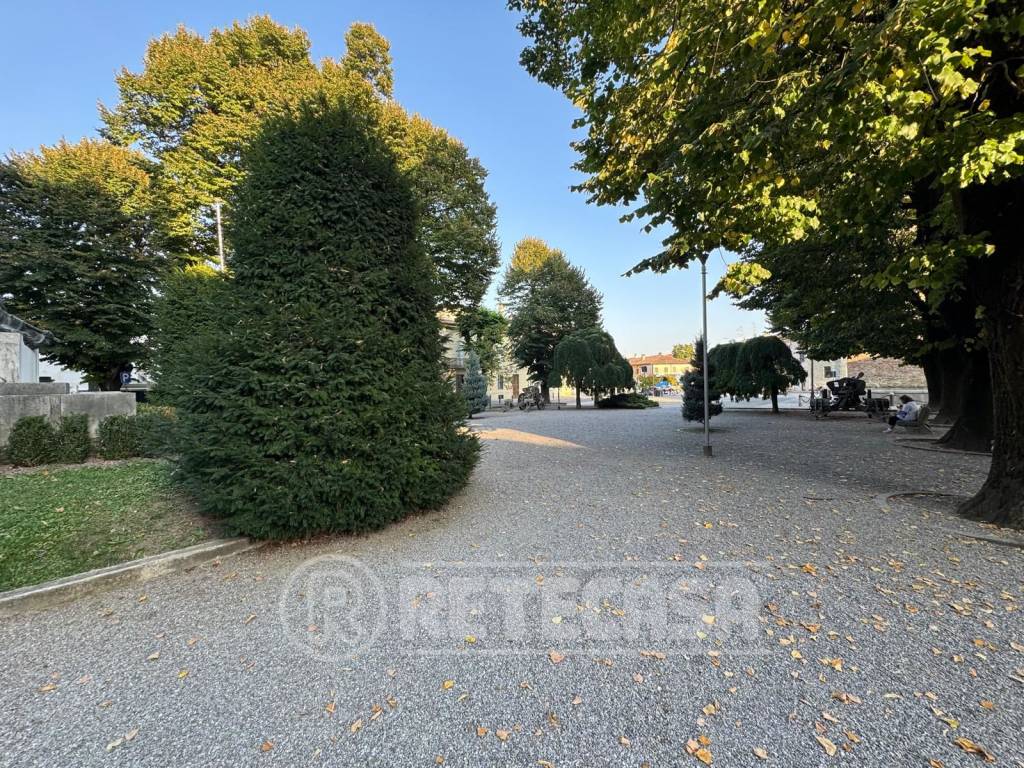 immagine annuncio 12 di 13