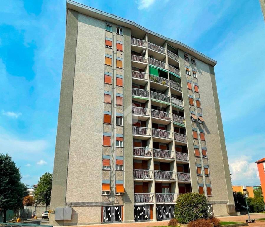 immagine annuncio 1 di 15