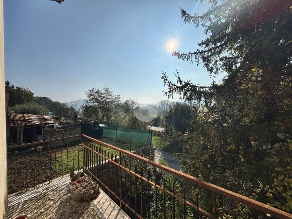 immagine annuncio 6 di 14