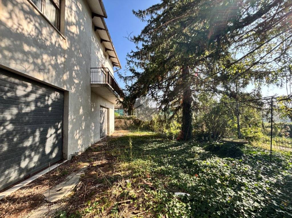 immagine annuncio 12 di 14