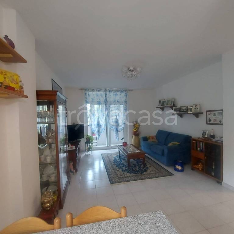 immagine annuncio 3 di 14