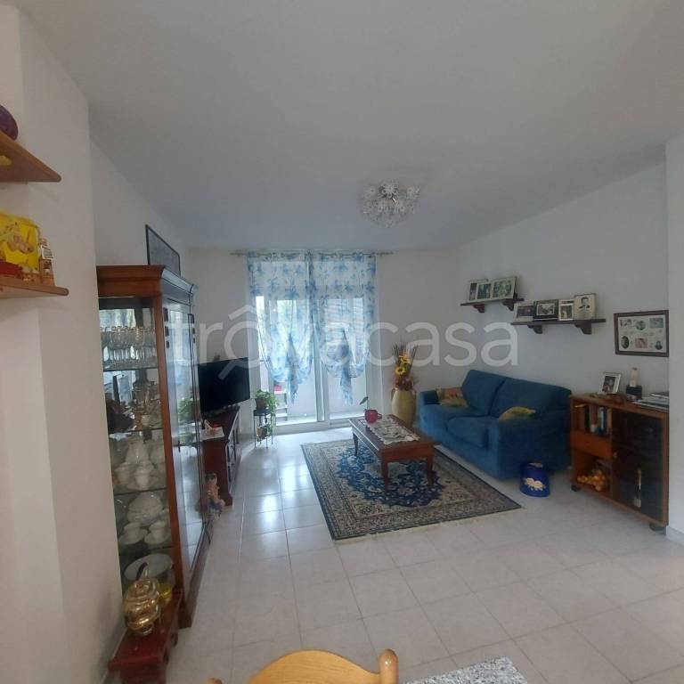 immagine annuncio 5 di 14