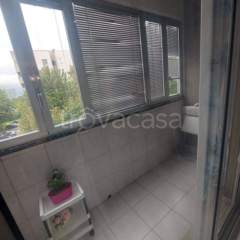 immagine annuncio 9 di 14