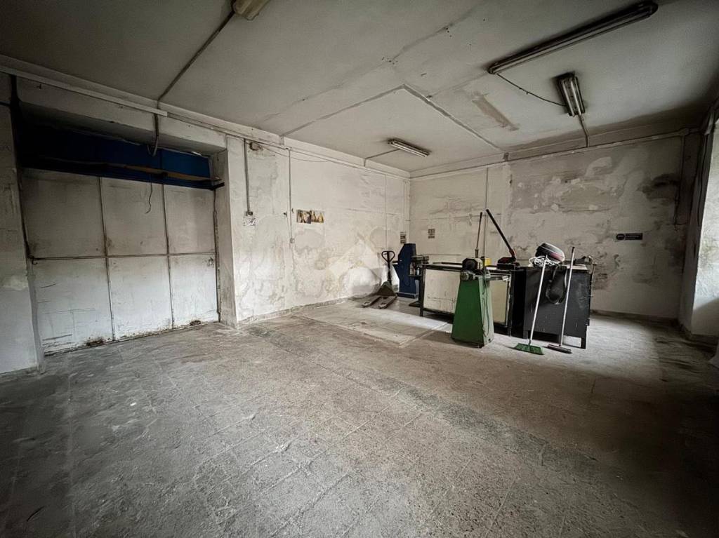 immagine annuncio 3 di 12