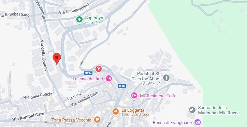 immagine annuncio 10 di 11