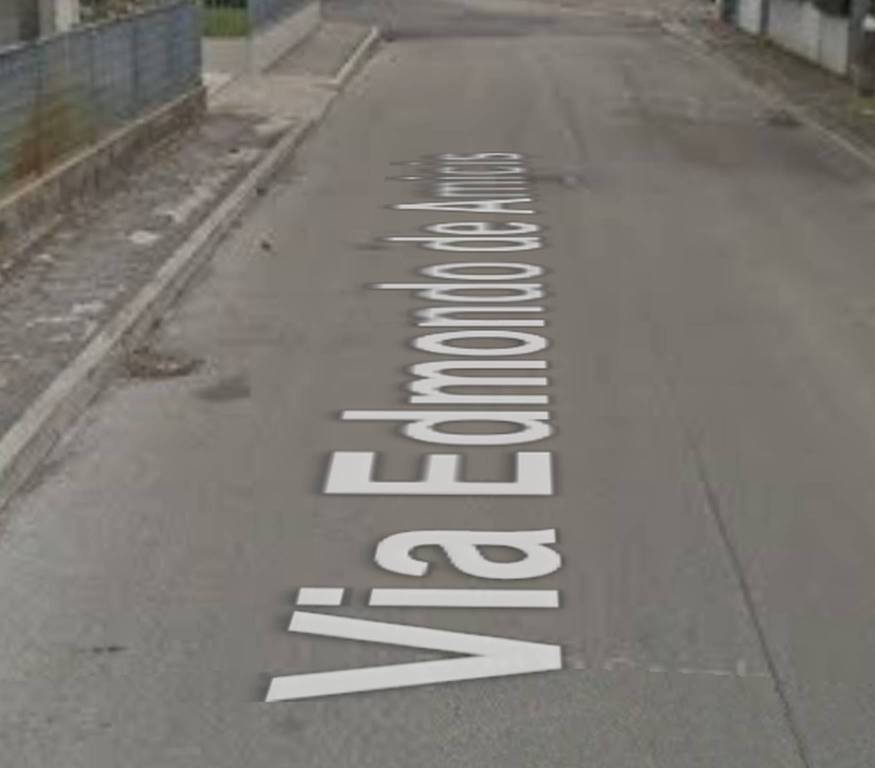 immagine annuncio 1 di 14