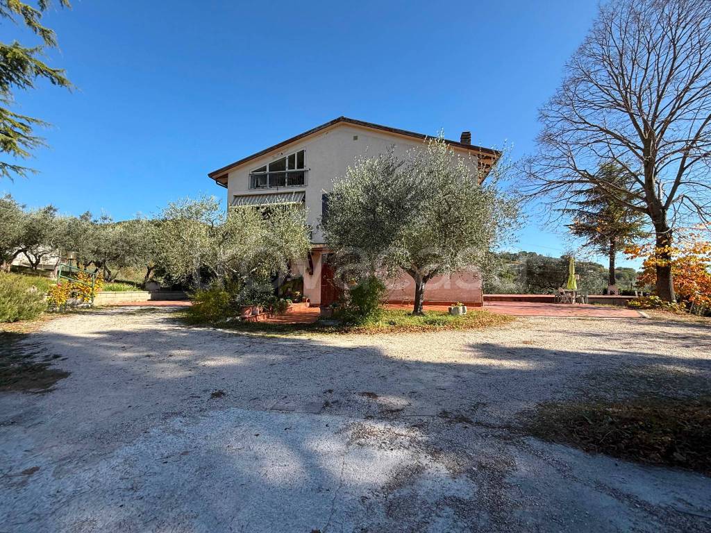 immagine annuncio 2 di 12