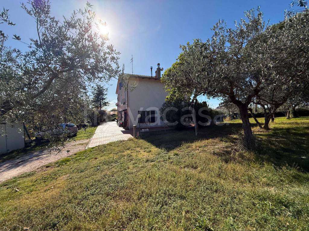 immagine annuncio 5 di 12