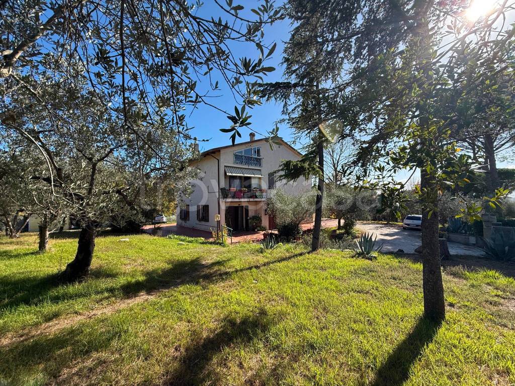 immagine annuncio 6 di 12