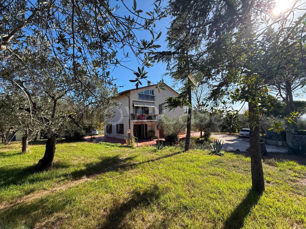 immagine annuncio 7 di 12