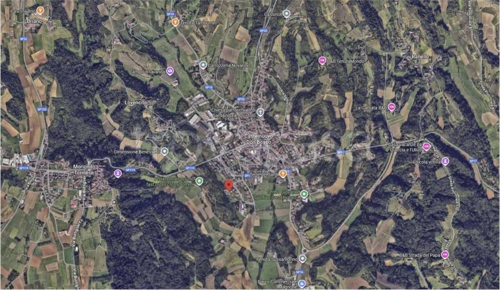 immagine annuncio 3 di 12