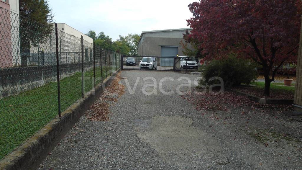 immagine annuncio 11 di 15