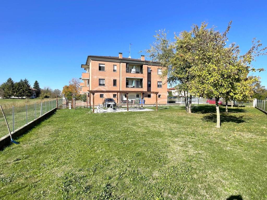 immagine annuncio 4 di 8