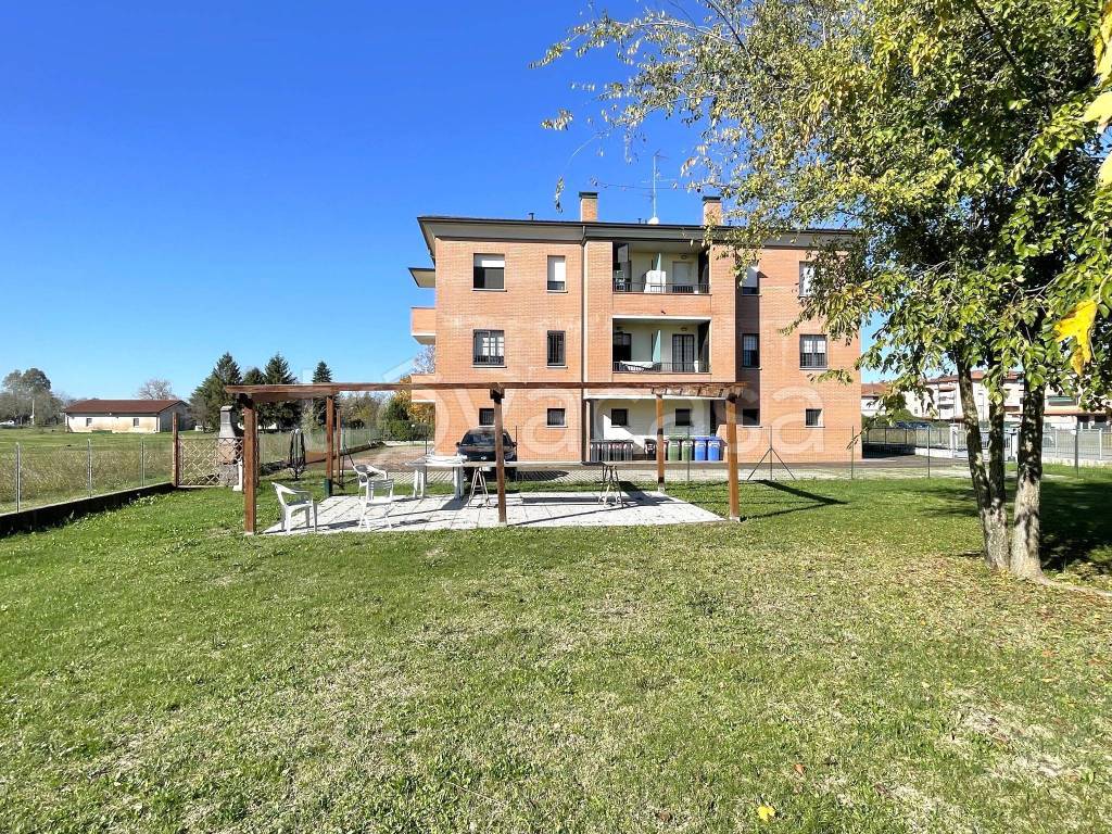 immagine annuncio 5 di 8