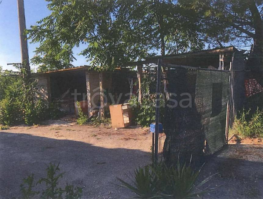 immagine annuncio 5 di 9