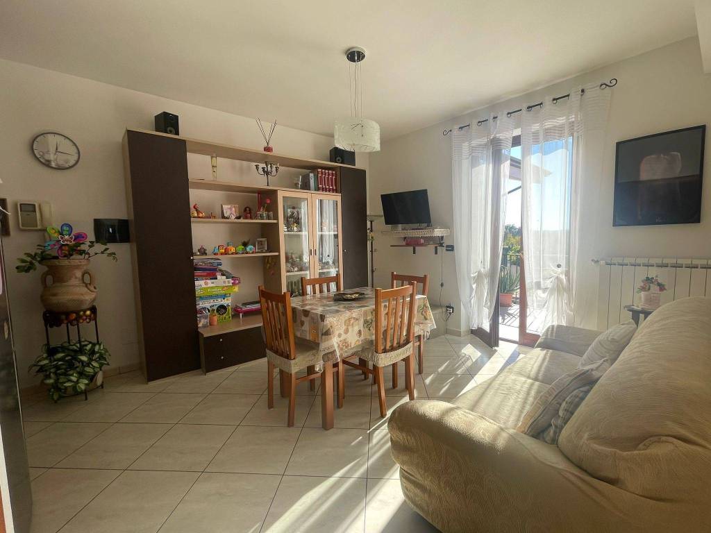 immagine annuncio 11 di 14