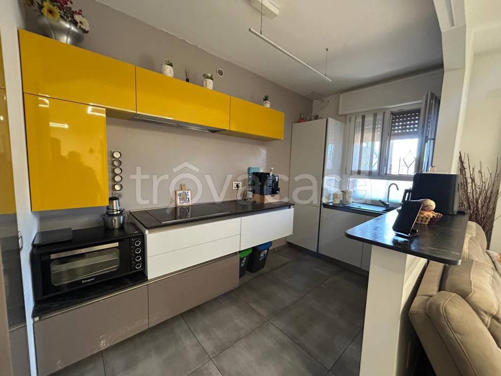 immagine annuncio 2 di 12