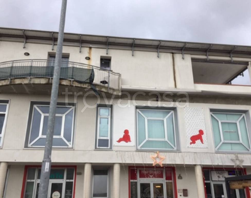 immagine annuncio 7 di 11