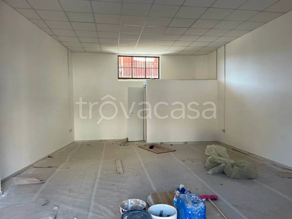 immagine annuncio 4 di 8