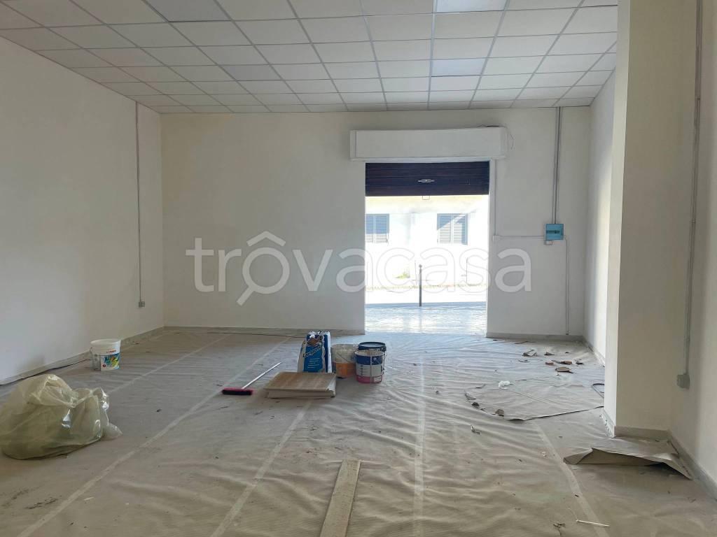 immagine annuncio 5 di 8