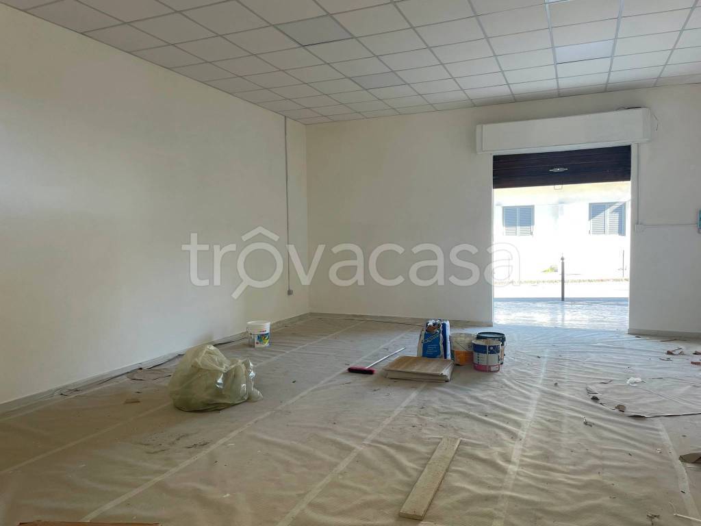 immagine annuncio 6 di 8