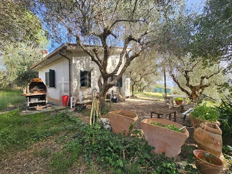 immagine annuncio 8 di 11