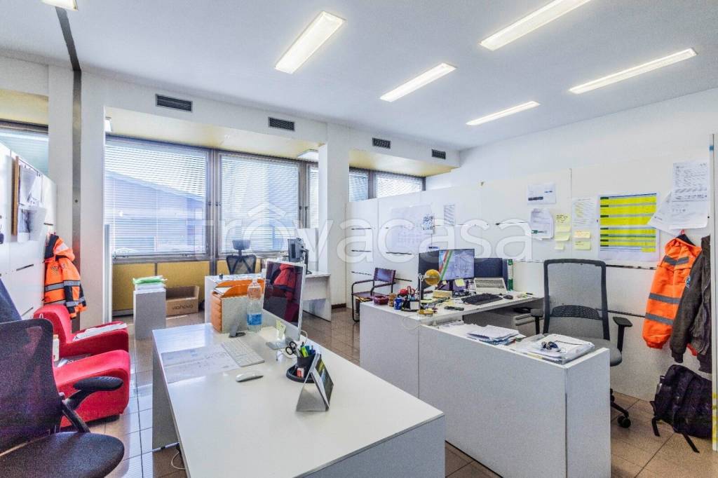 immagine annuncio 4 di 12