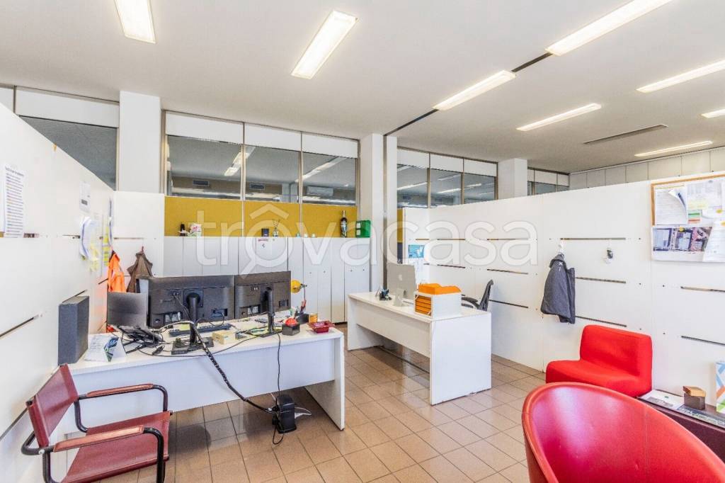 immagine annuncio 6 di 12