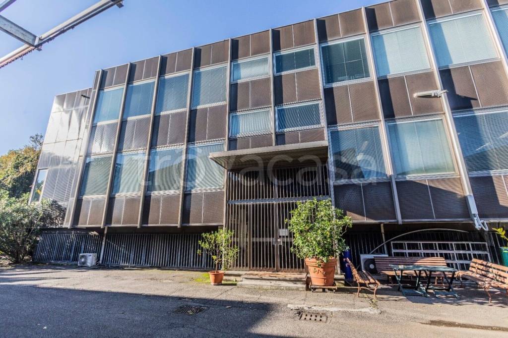 immagine annuncio 11 di 12