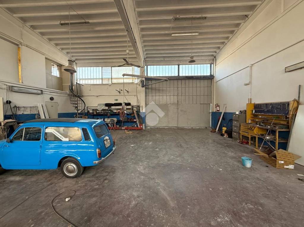 immagine annuncio 5 di 8